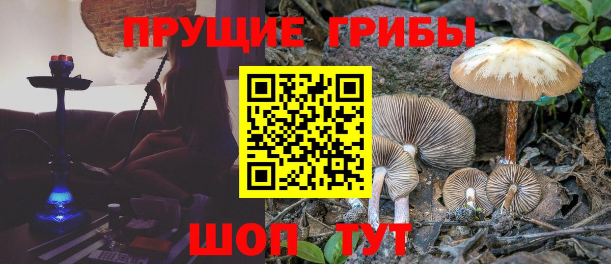 Зима  Галлюциногенные грибы MAGIC MUSHROOMS  Вход с VPN  Псилоцибиновые грибы Psilocybe 