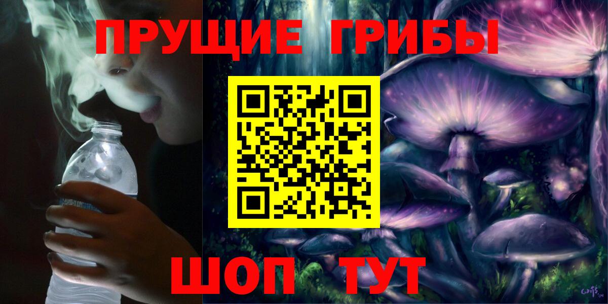 Псилоцибиновые грибы GOLDEN TEACHER Зима